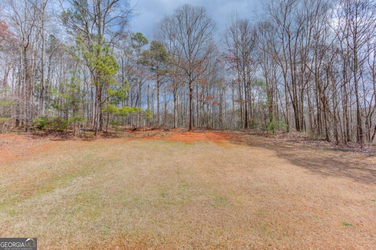 4990 Poplar Springs Circle Gainesville - Photo 49