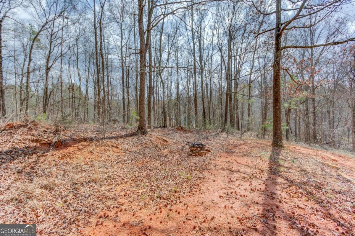 4990 Poplar Springs Circle Gainesville - Photo 51