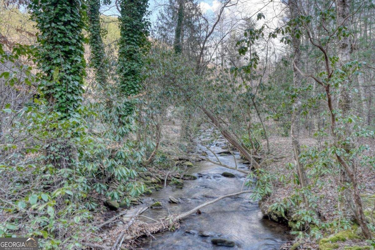 4868 Swallows Creek Road Hiawassee - Photo 53