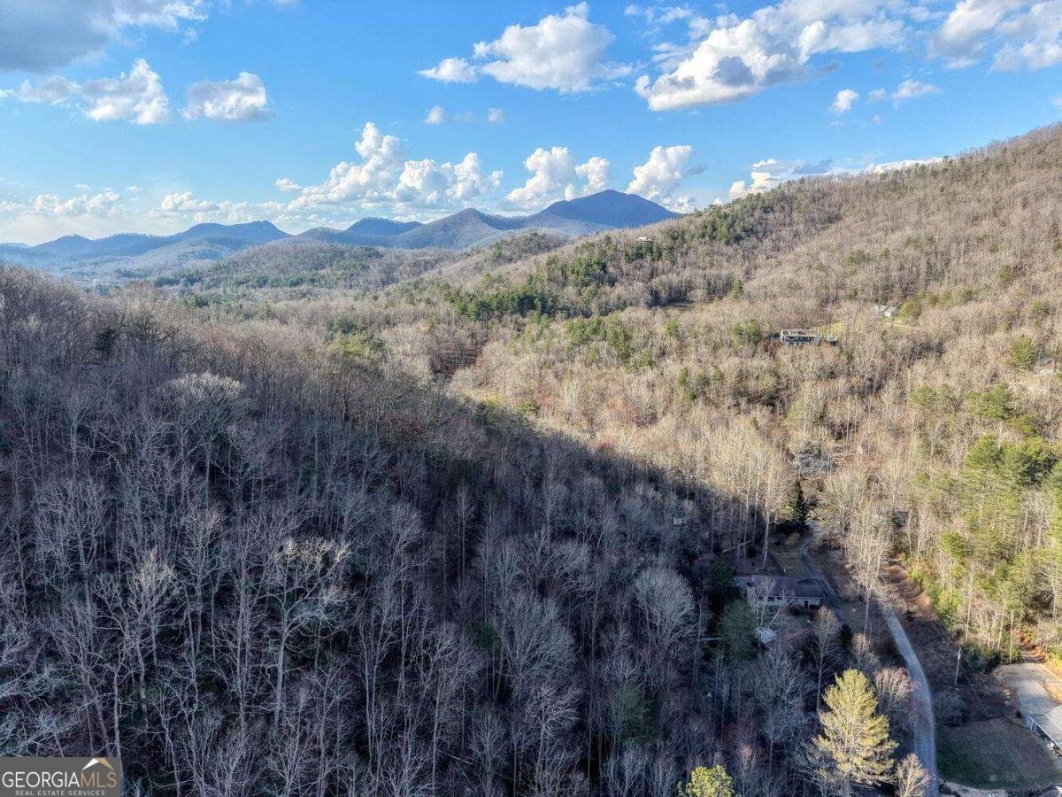 4868 Swallows Creek Road Hiawassee - Photo 59