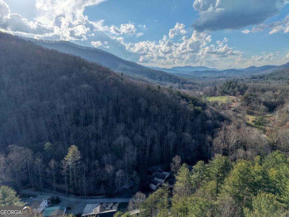 4868 Swallows Creek Road Hiawassee - Photo 60