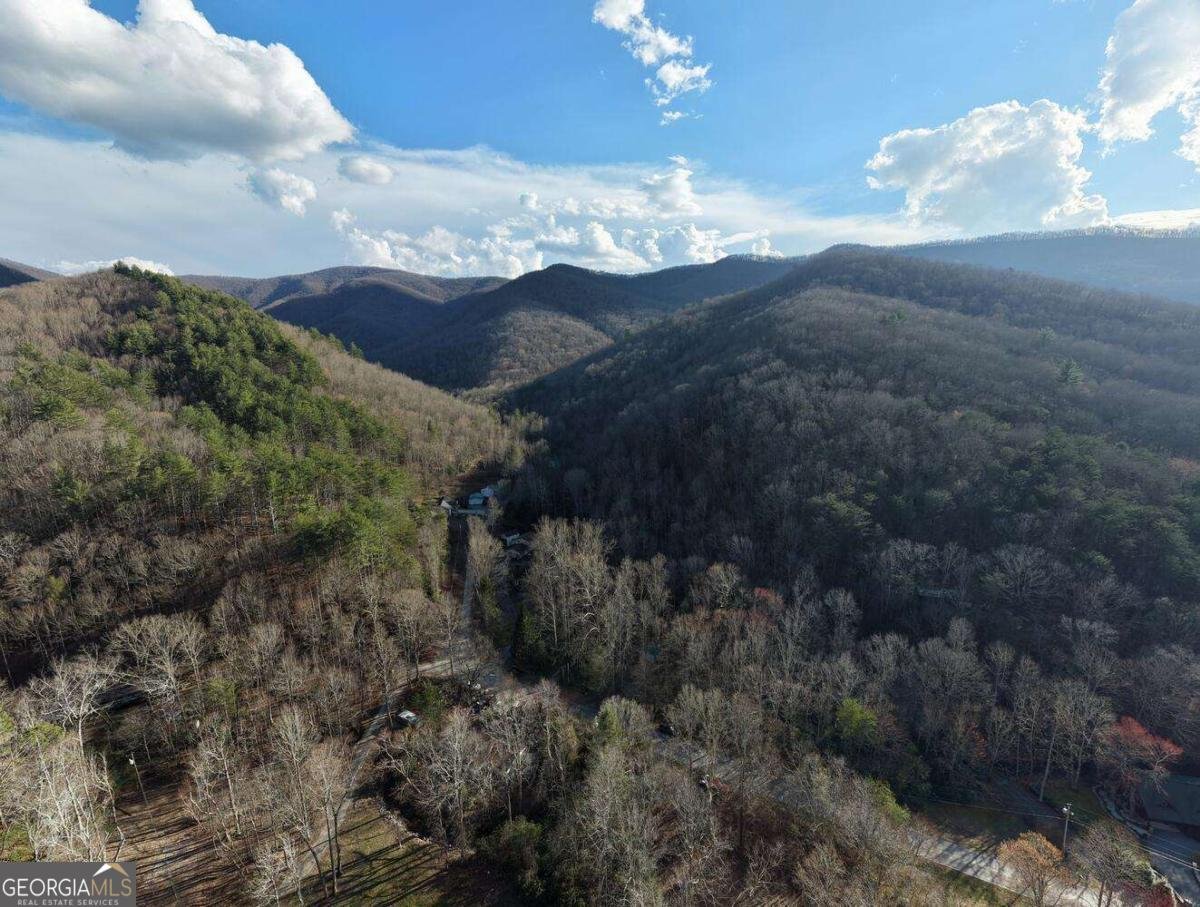 4868 Swallows Creek Road Hiawassee - Photo 61