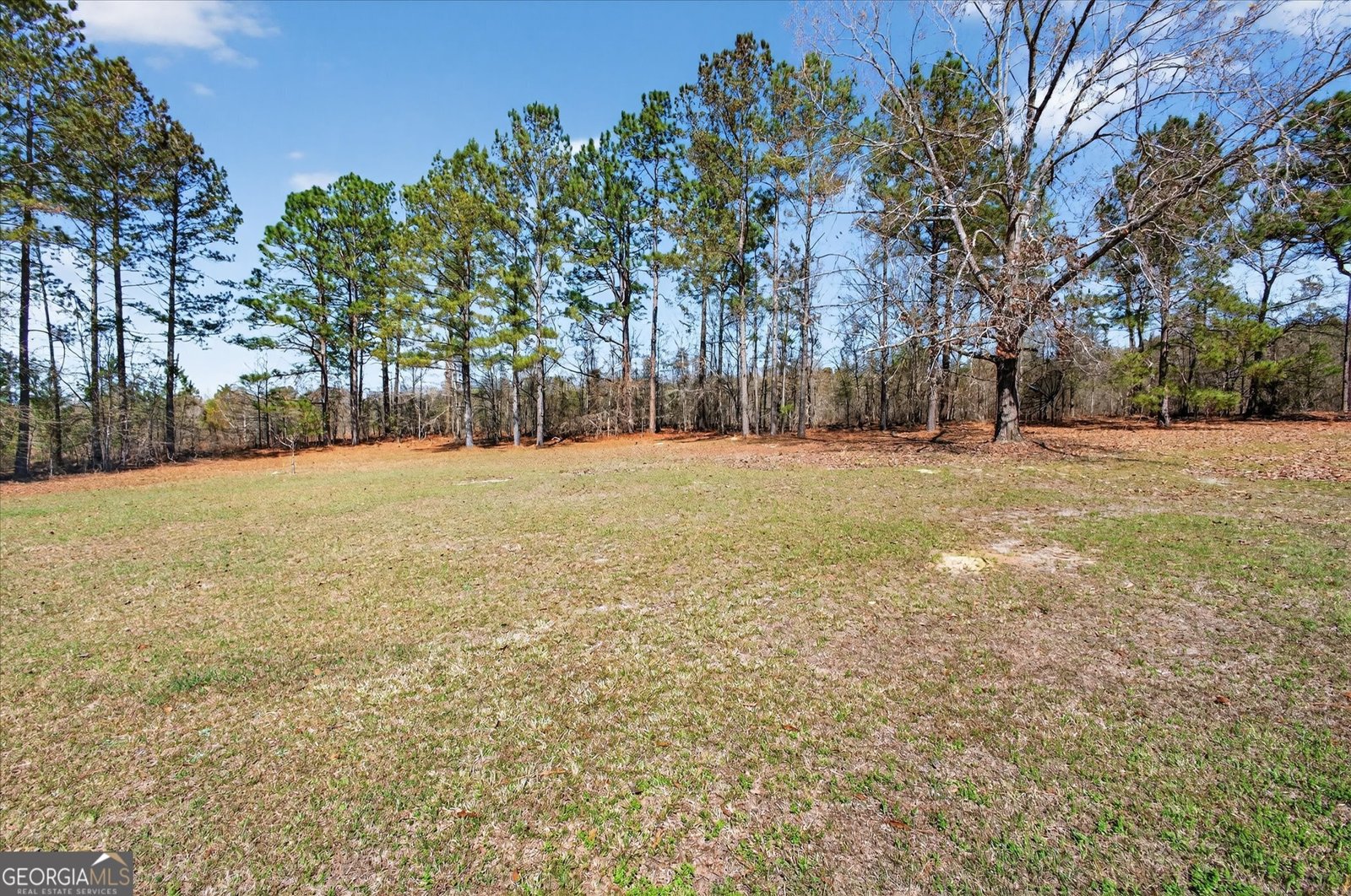 395 Winchester Road Sylvania - Photo 44