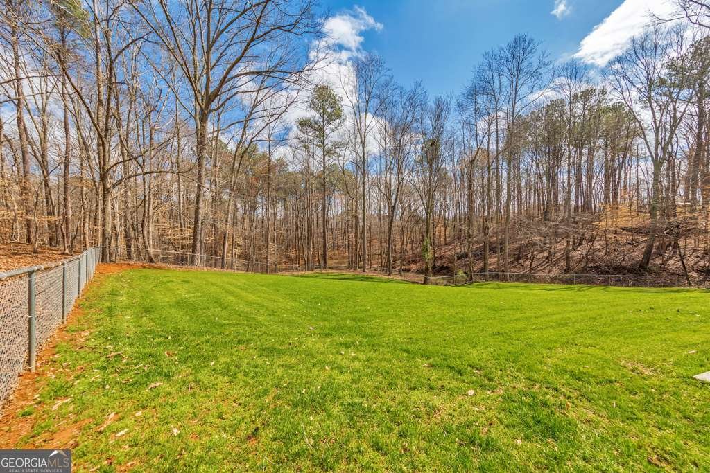 1498 Pinyan Lane Canton - Photo 51