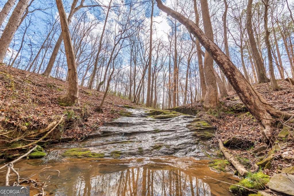 1498 Pinyan Lane Canton - Photo 54