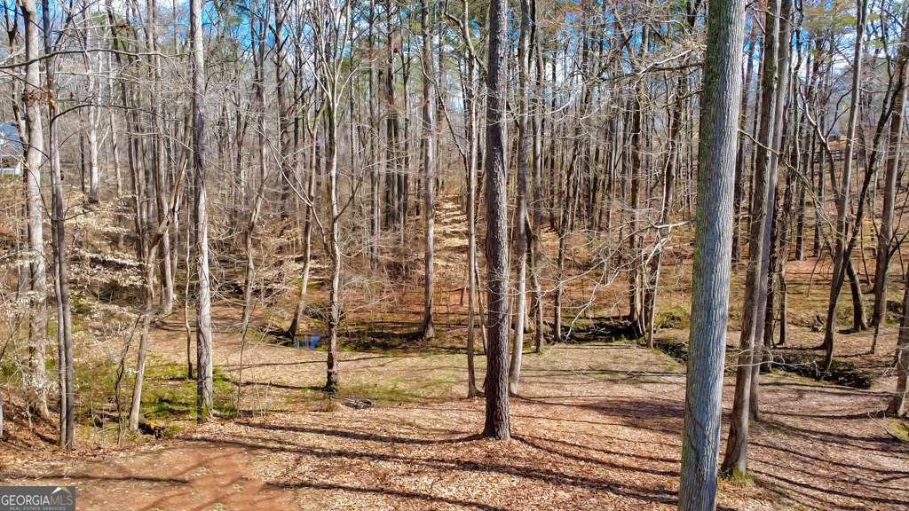 1498 Pinyan Lane Canton - Photo 56