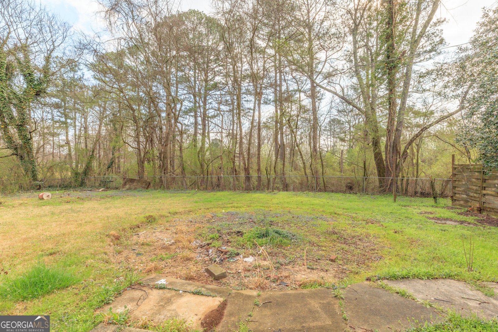 395 Wisteria Road La Fayette - Photo 26