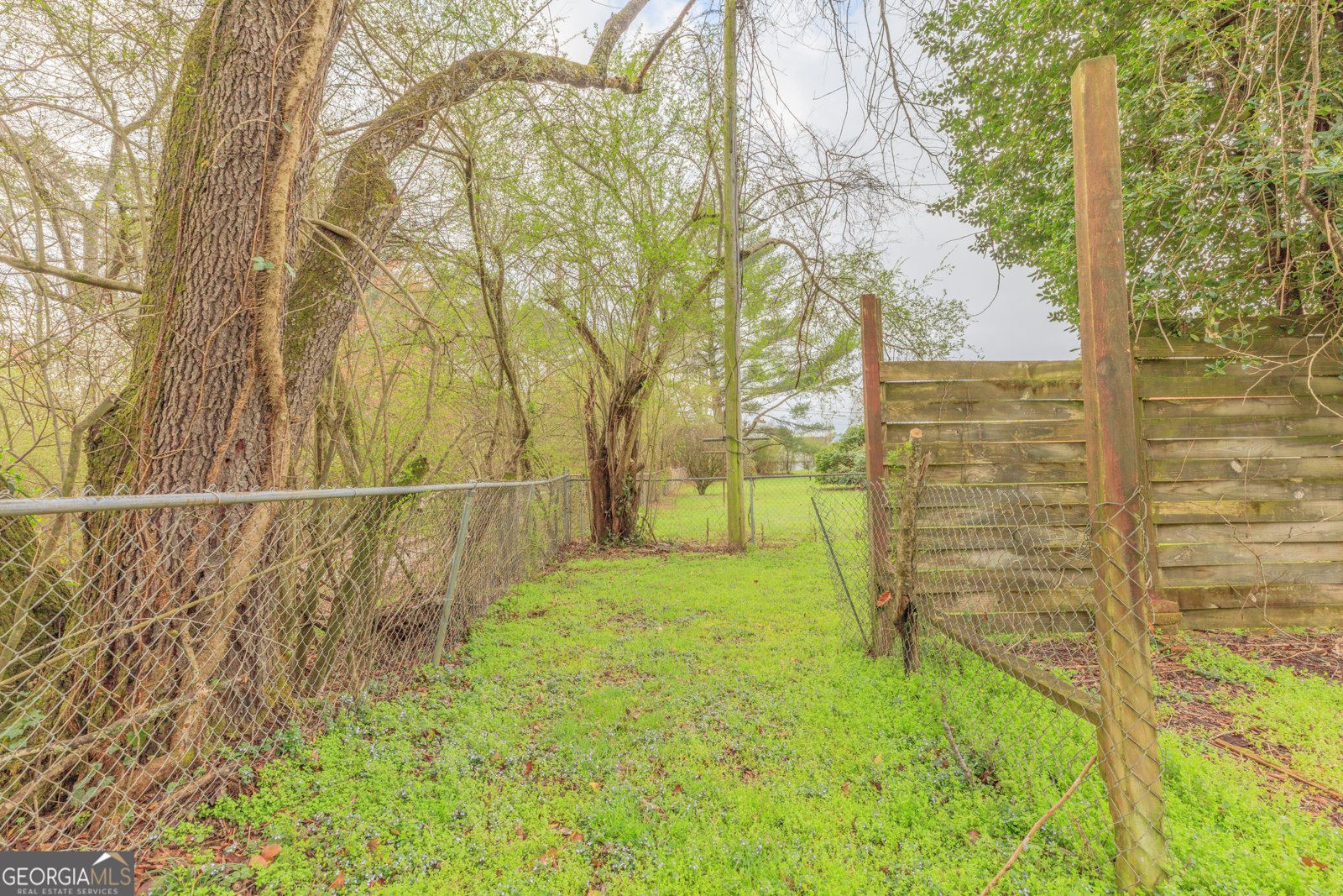 395 Wisteria Road La Fayette - Photo 30