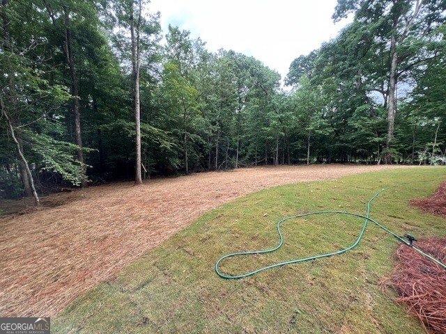 238 Signing Tree Trail Clarkesville - Photo 50