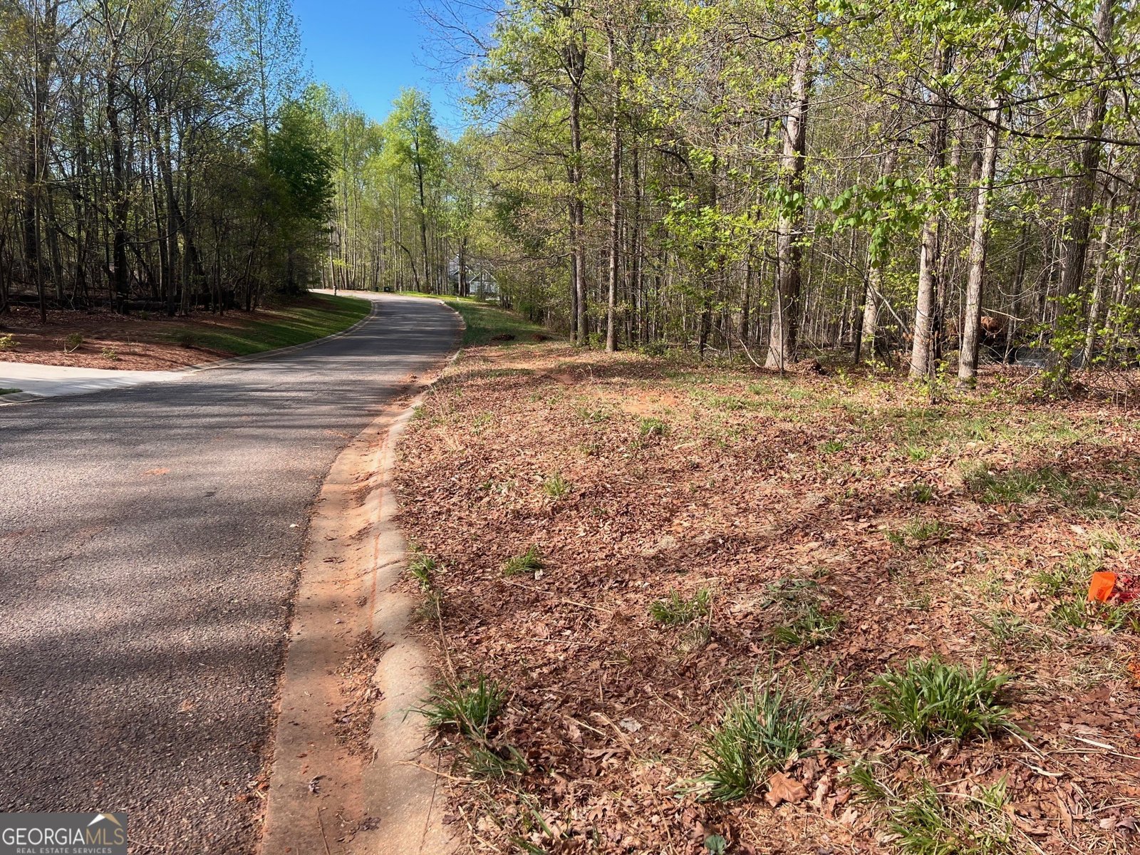 238 Signing Tree Trail Clarkesville - Photo 8