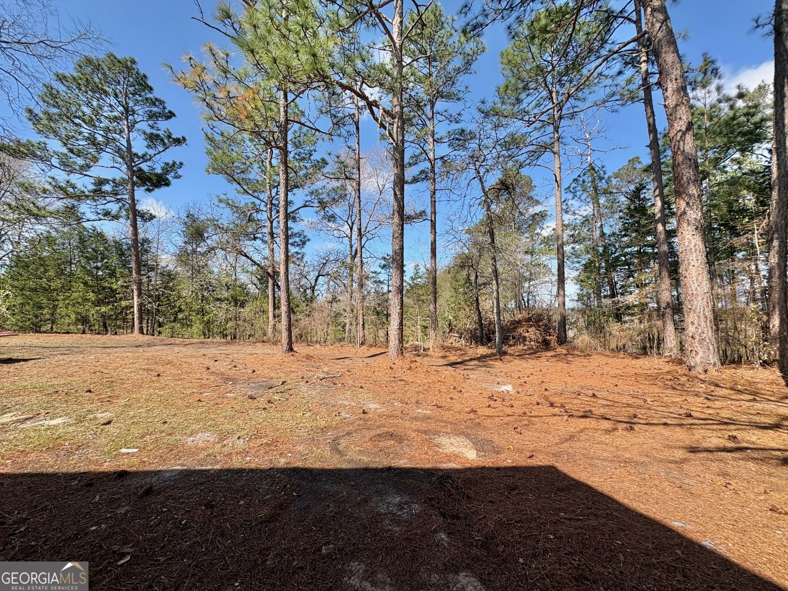 319 Greenbriar Drive Byron - Photo 43