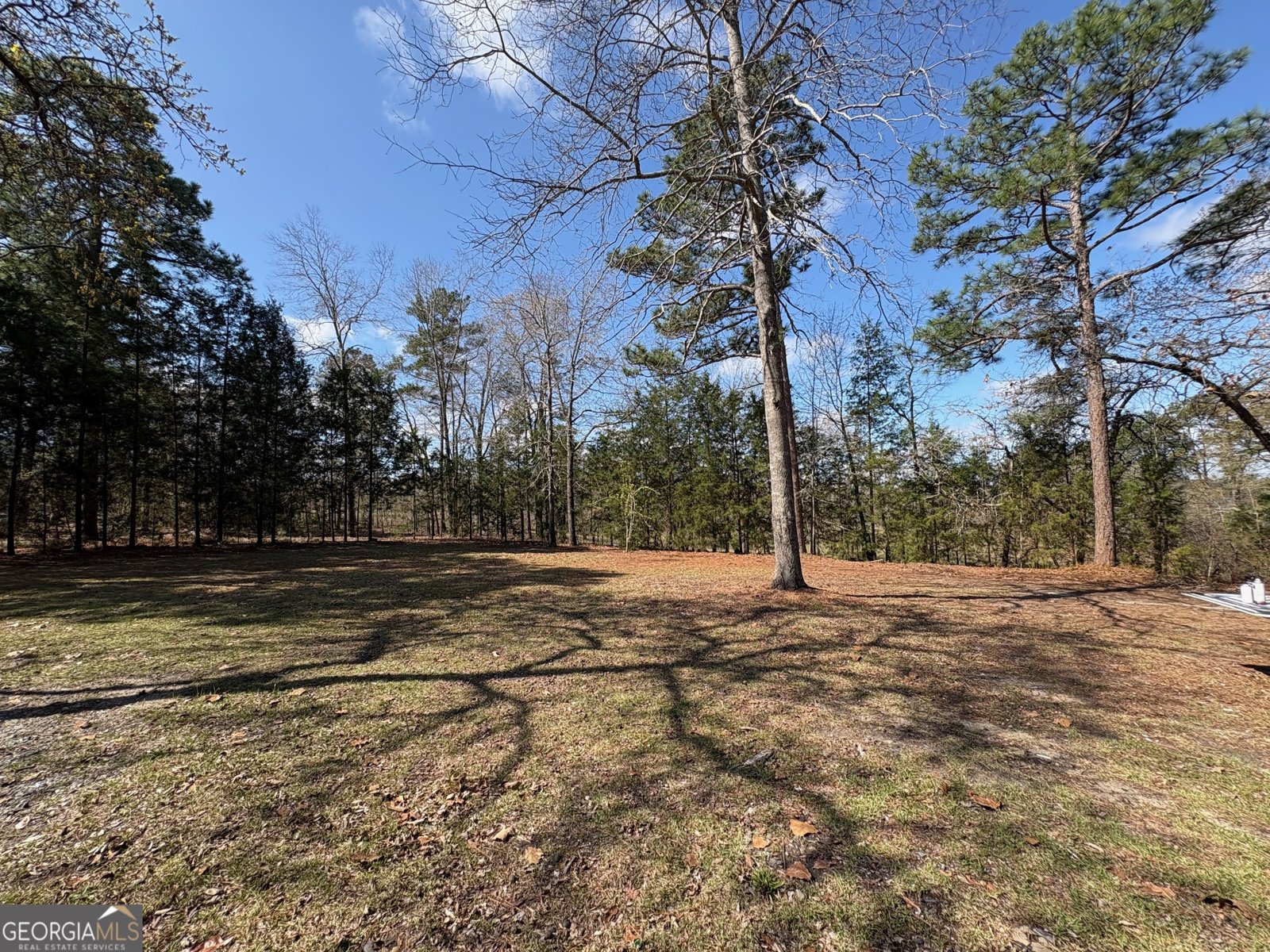 319 Greenbriar Drive Byron - Photo 44