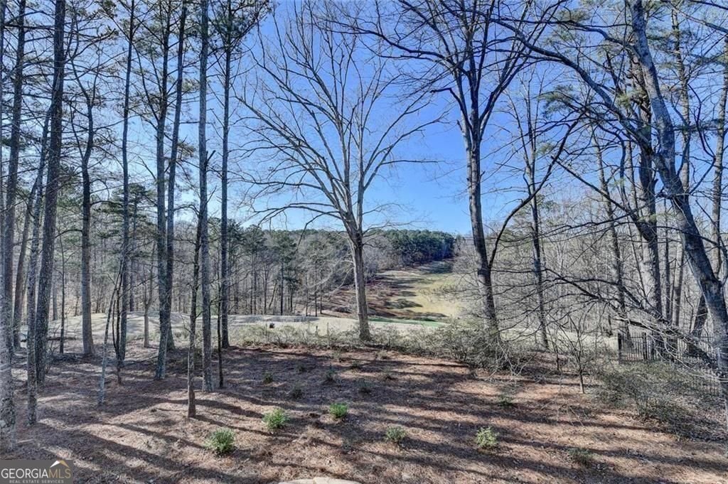 2410 Wild Iris Lane Dacula - Photo 63