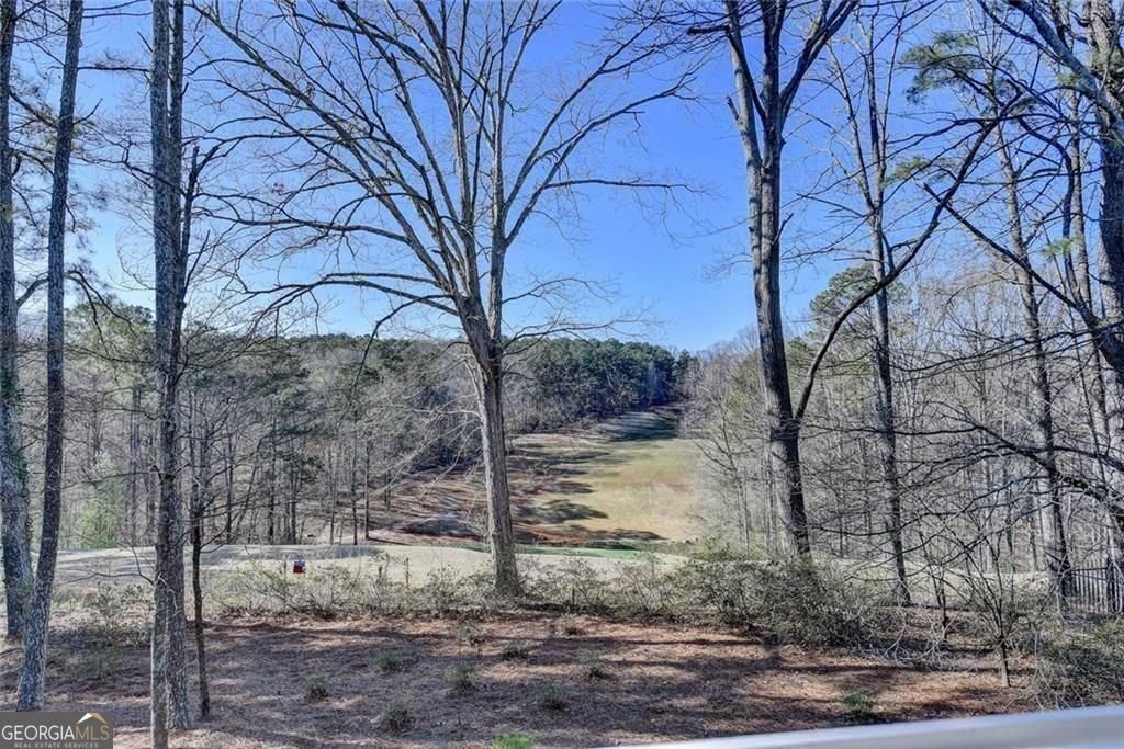 2410 Wild Iris Lane Dacula - Photo 66