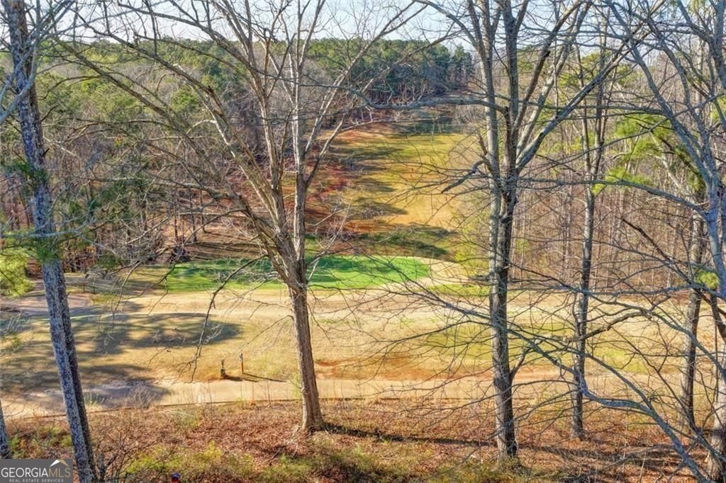 2410 Wild Iris Lane Dacula - Photo 70