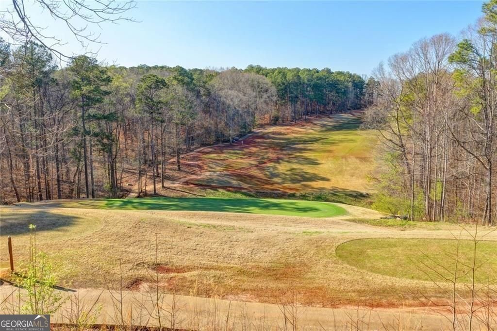 2410 Wild Iris Lane Dacula - Photo 71