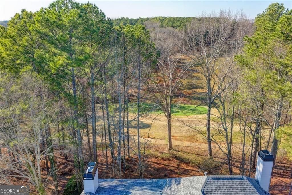 2410 Wild Iris Lane Dacula - Photo 76