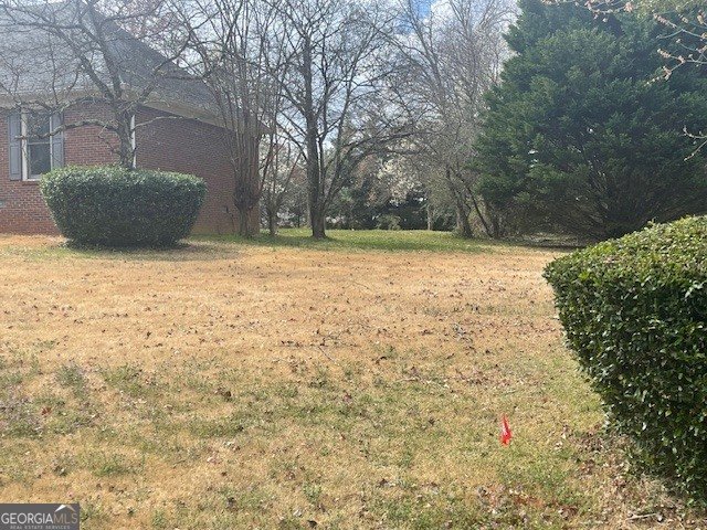 961 Jimson Drive Conyers - Photo 8