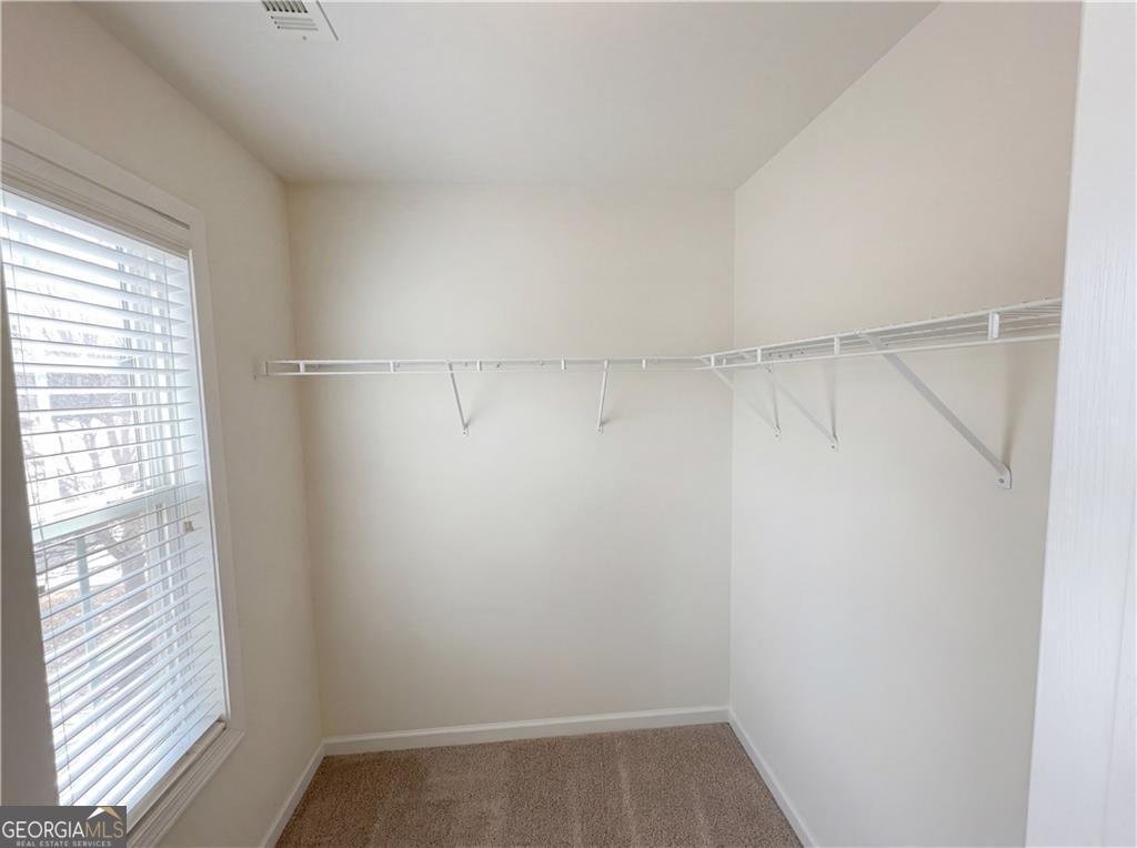 2708 Red Mulberry Lane Braselton - Photo 33