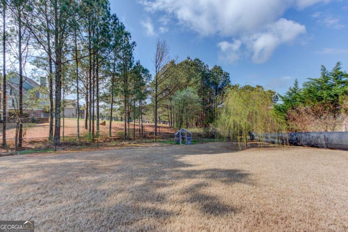 1005 Silver Thorne Drive Loganville - Photo 57