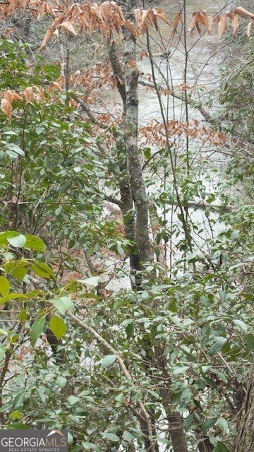 00 LOT1 N. Helton Road Winston - Photo 7