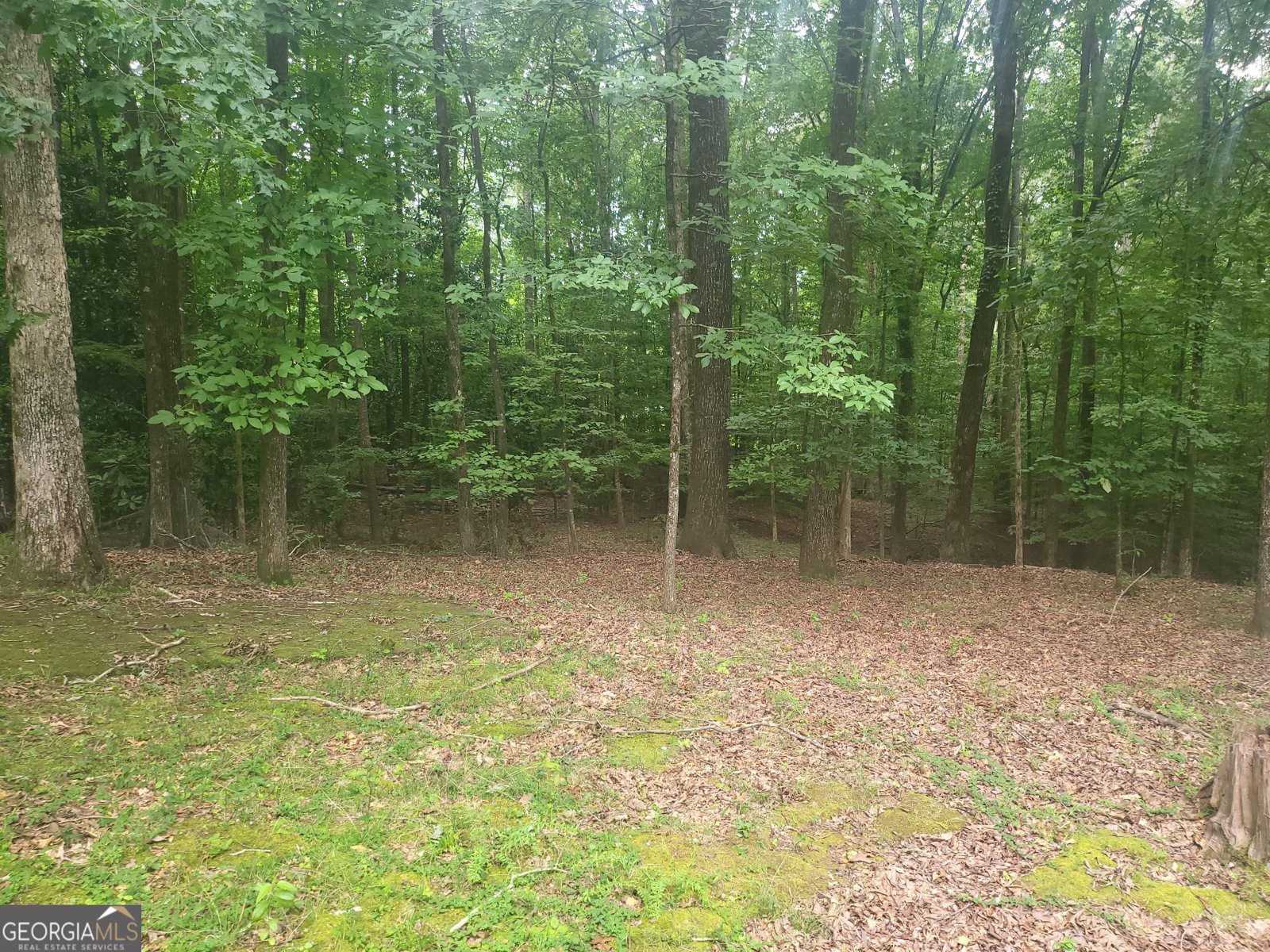 150 OLd Fairburn Close Arlanta - Photo 6