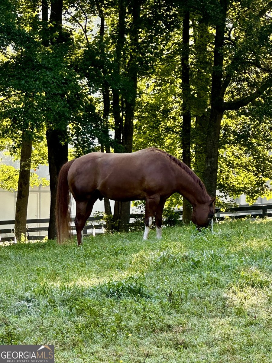 2865 Hightower Road Ball Ground - Photo 42