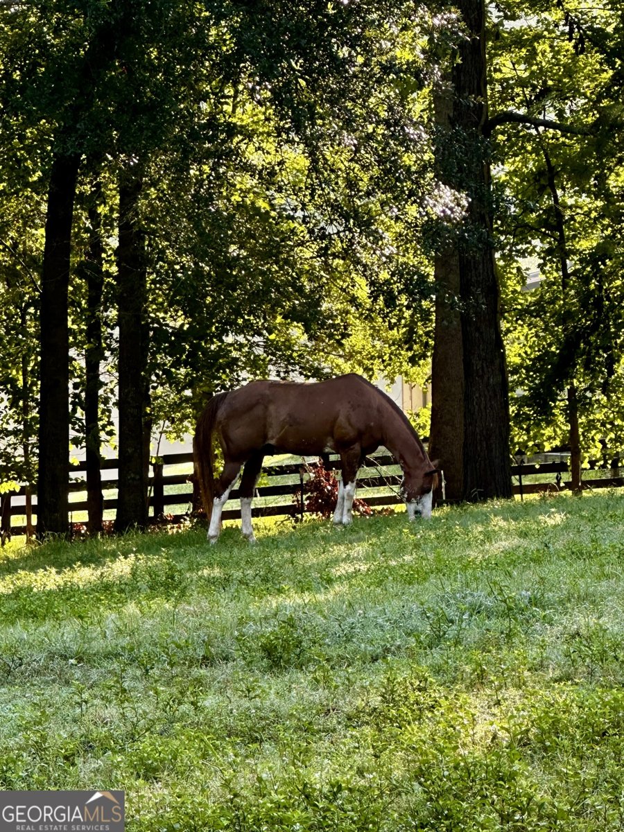 2865 Hightower Road Ball Ground - Photo 43