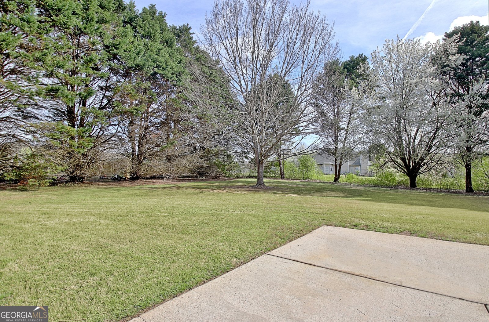 39 Braves Crossing Court Sharpsburg - Photo 54