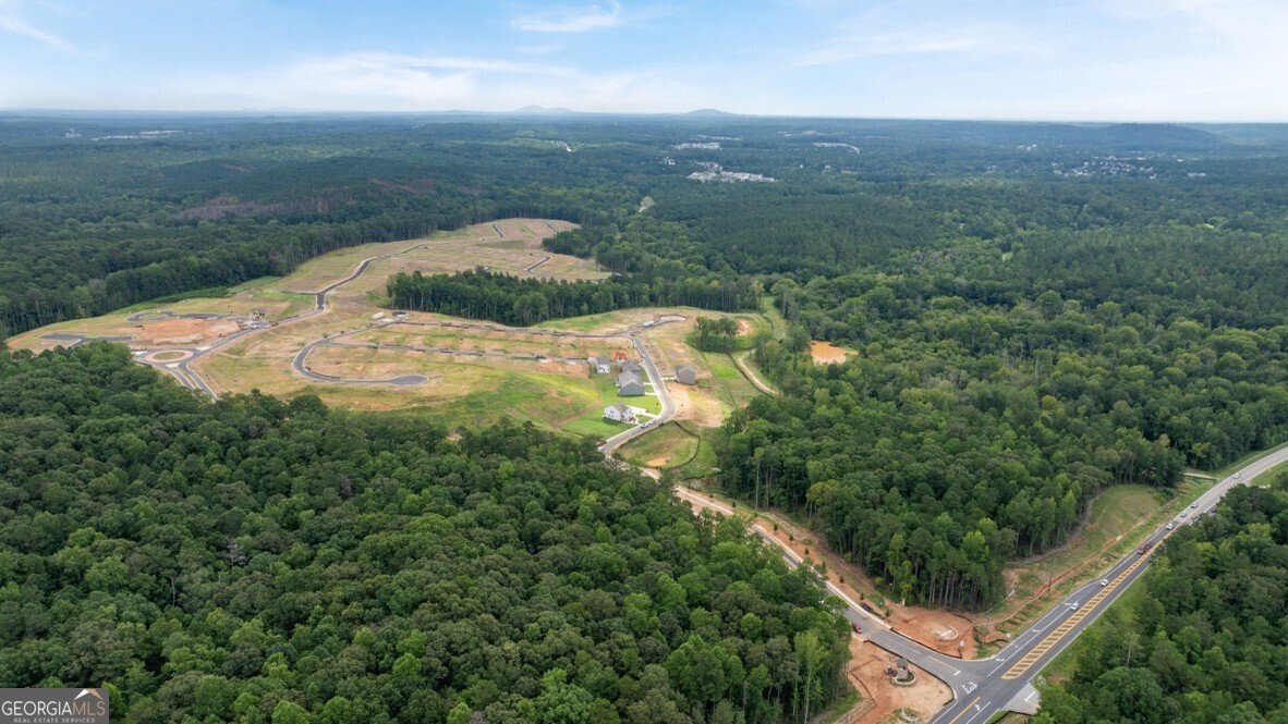 92 Cyrilla Walk Dallas - Photo 30