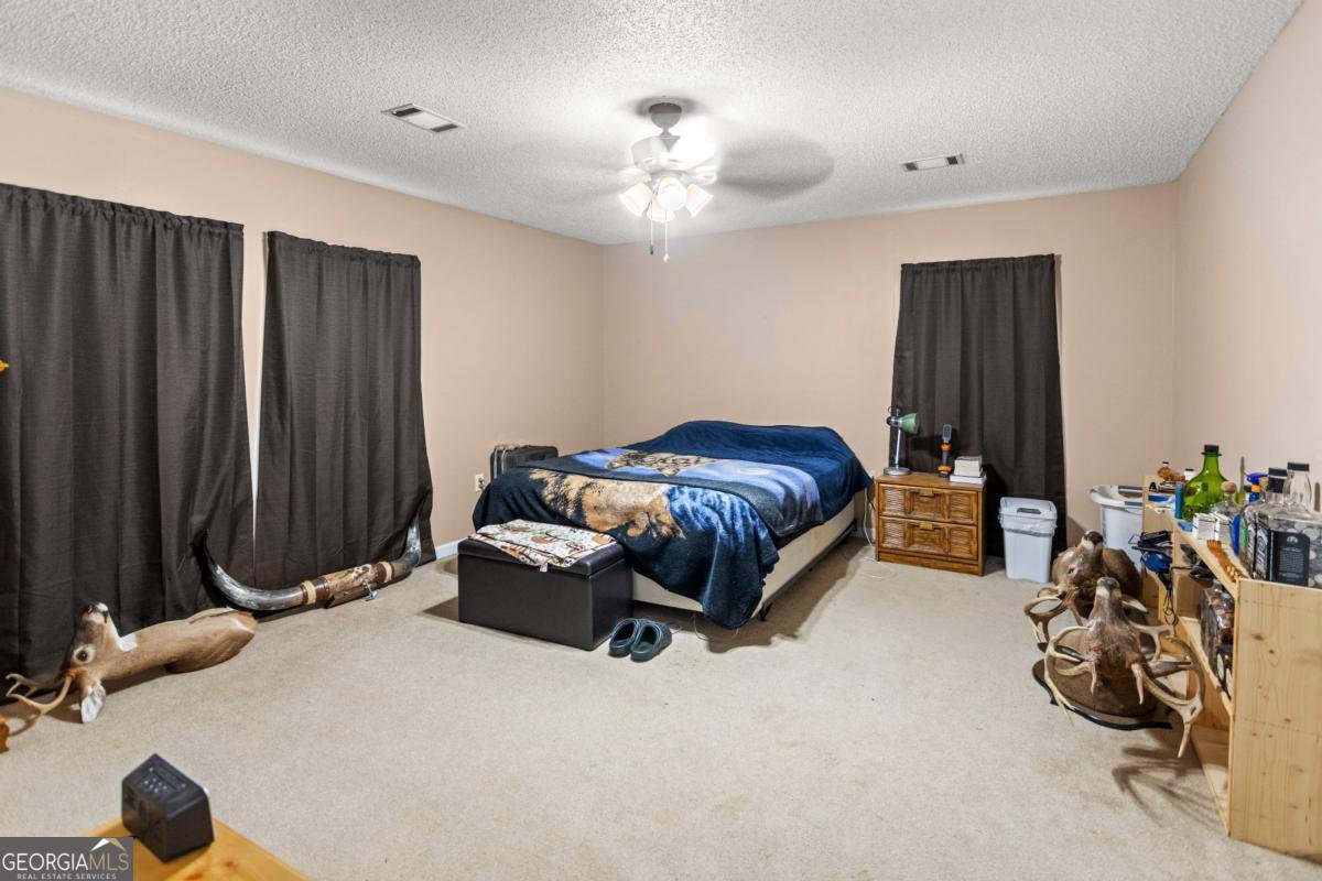 195 Mollie Bowen Lane Cobbtown - Photo 16