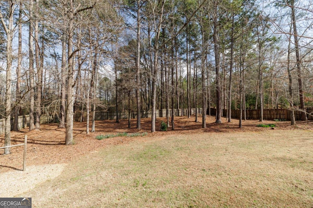 1191 Arizona Bend Watkinsville - Photo 58