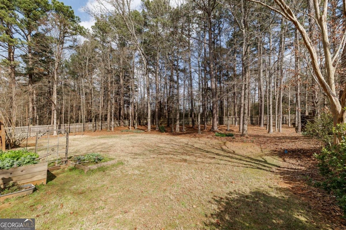 1191 Arizona Bend Watkinsville - Photo 61