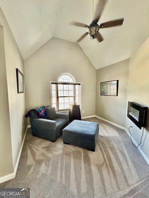 220 Shoreline Drive Fayetteville - Photo 16