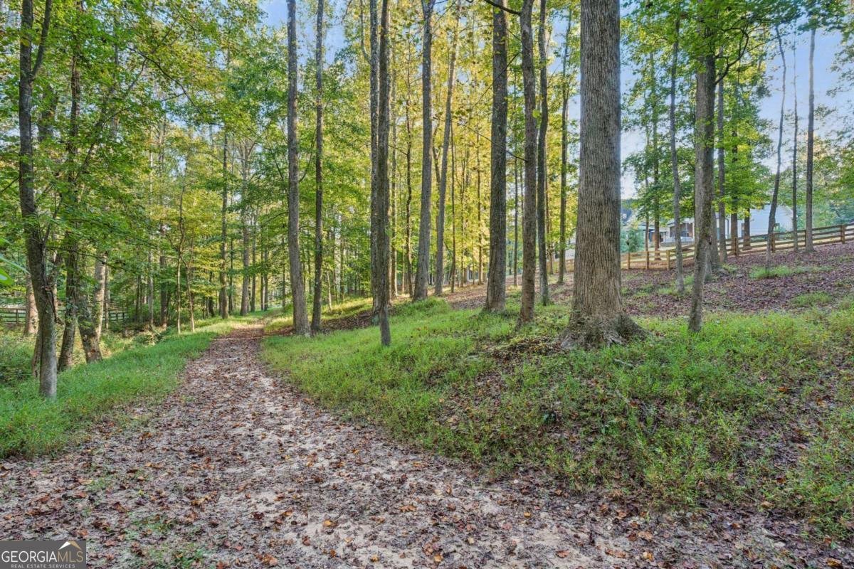 889 Freehome Road Canton - Photo 58