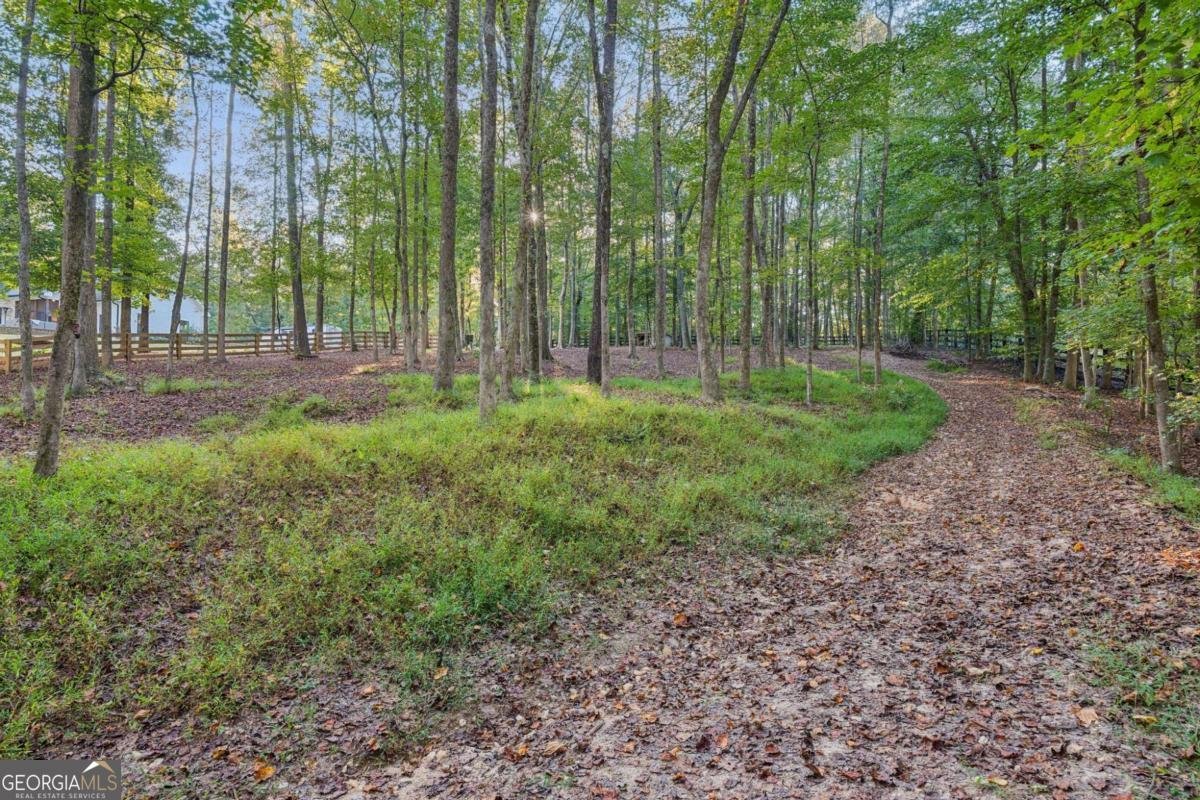 889 Freehome Road Canton - Photo 59