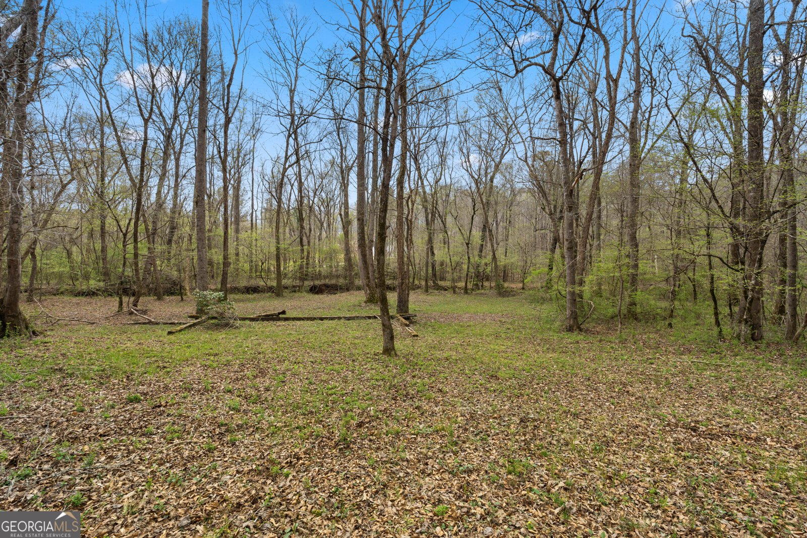 1229 Boggus Road Franklin - Photo 54