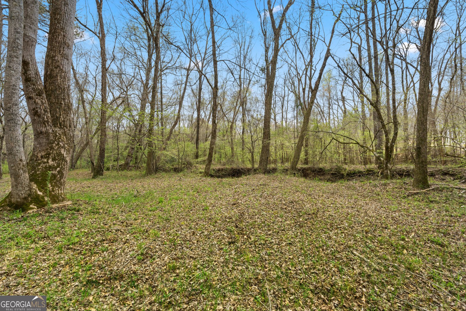 1229 Boggus Road Franklin - Photo 56