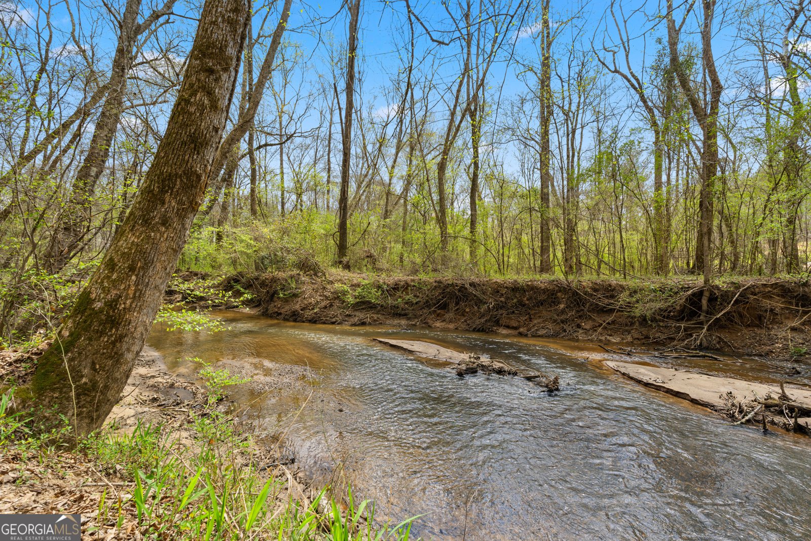 1229 Boggus Road Franklin - Photo 57