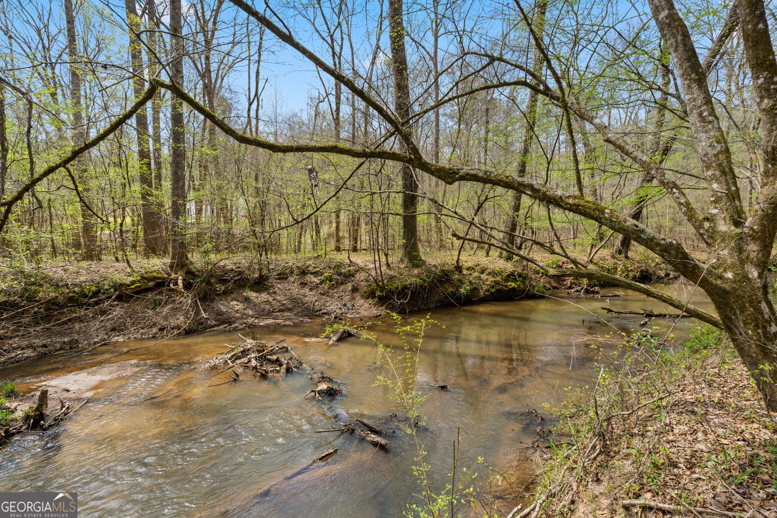 1229 Boggus Road Franklin - Photo 58