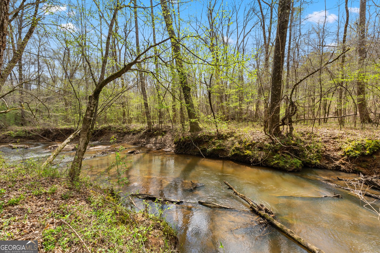 1229 Boggus Road Franklin - Photo 59