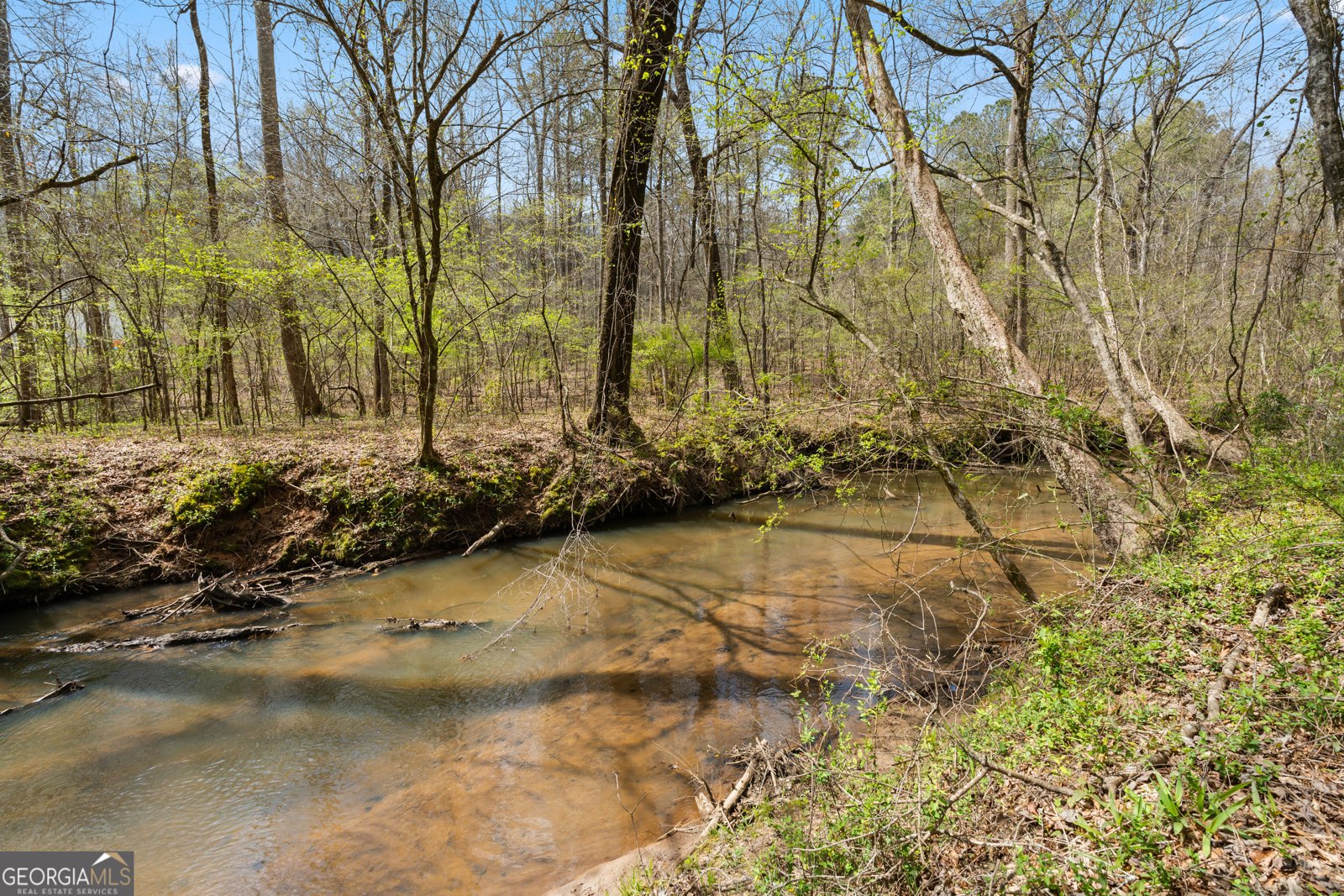 1229 Boggus Road Franklin - Photo 60