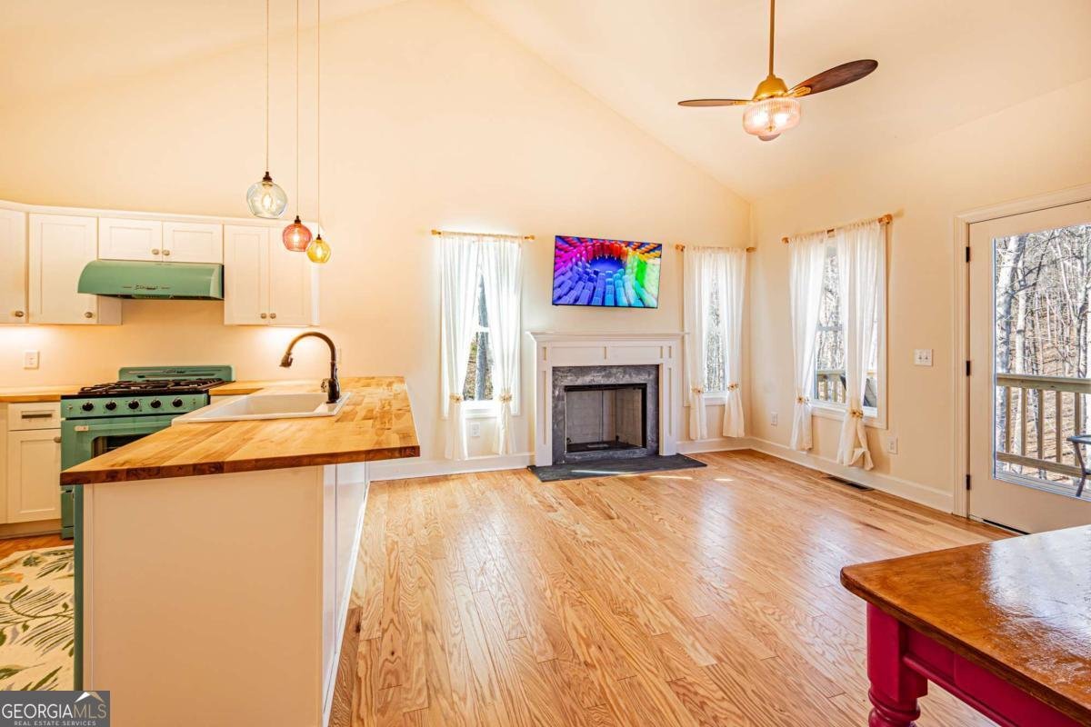 1415 Calhoun Road Dahlonega - Photo 13