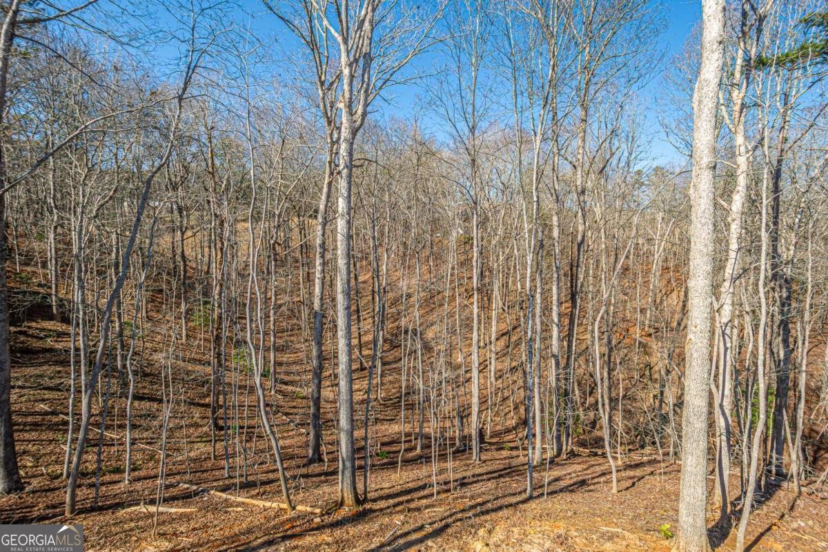 1415 Calhoun Road Dahlonega - Photo 31