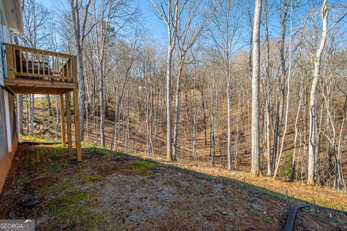 1415 Calhoun Road Dahlonega - Photo 33