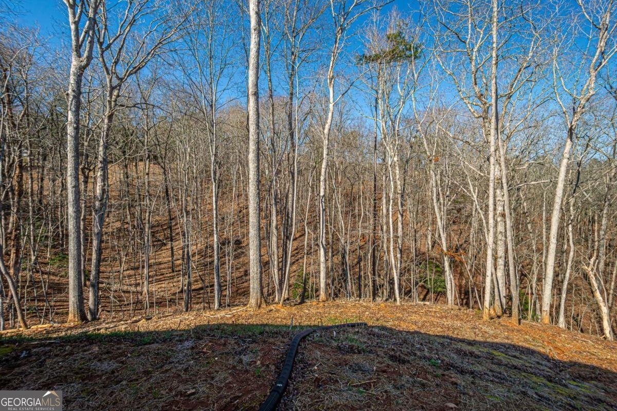 1415 Calhoun Road Dahlonega - Photo 34