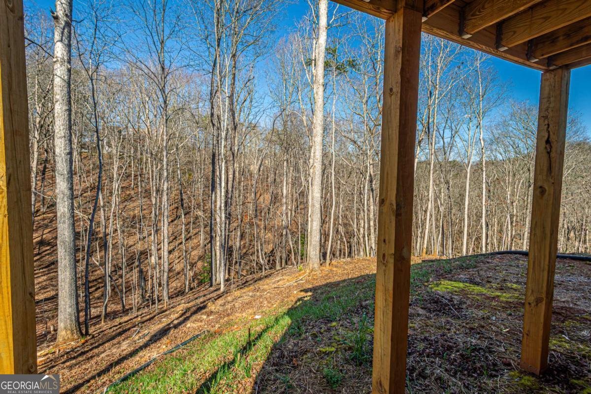 1415 Calhoun Road Dahlonega - Photo 35