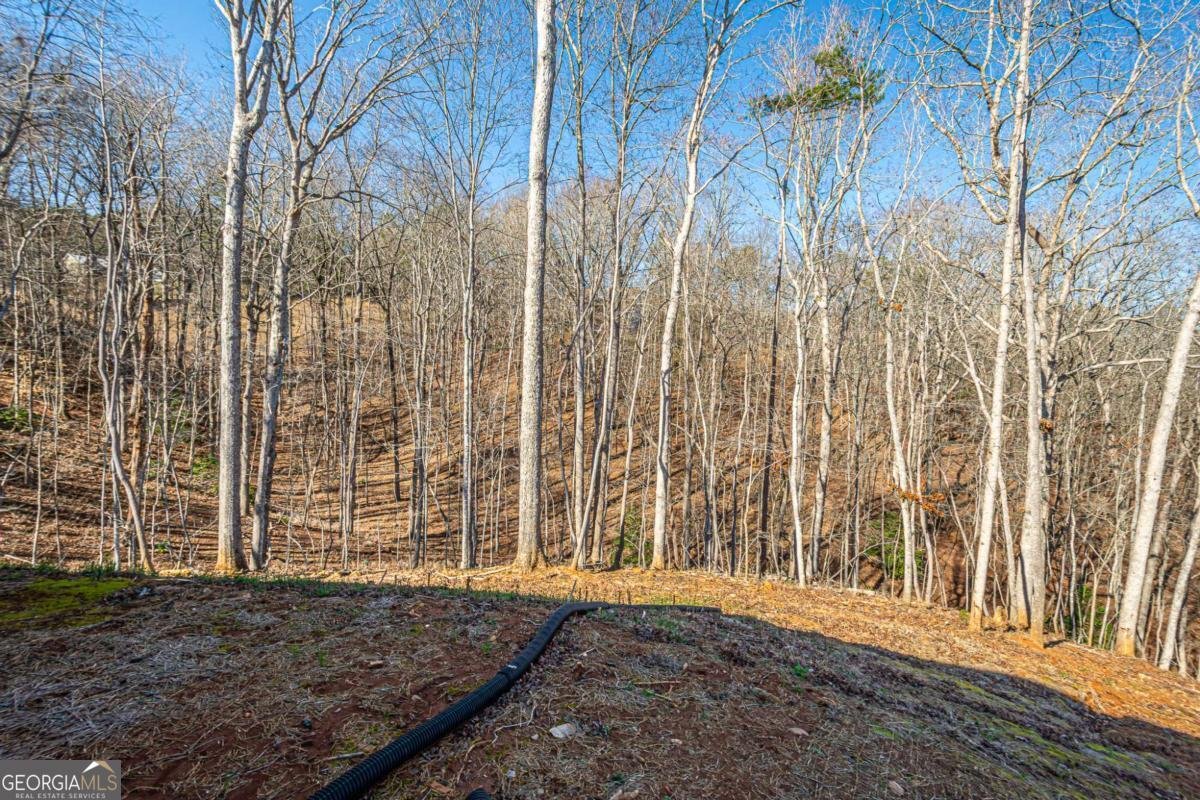 1415 Calhoun Road Dahlonega - Photo 37