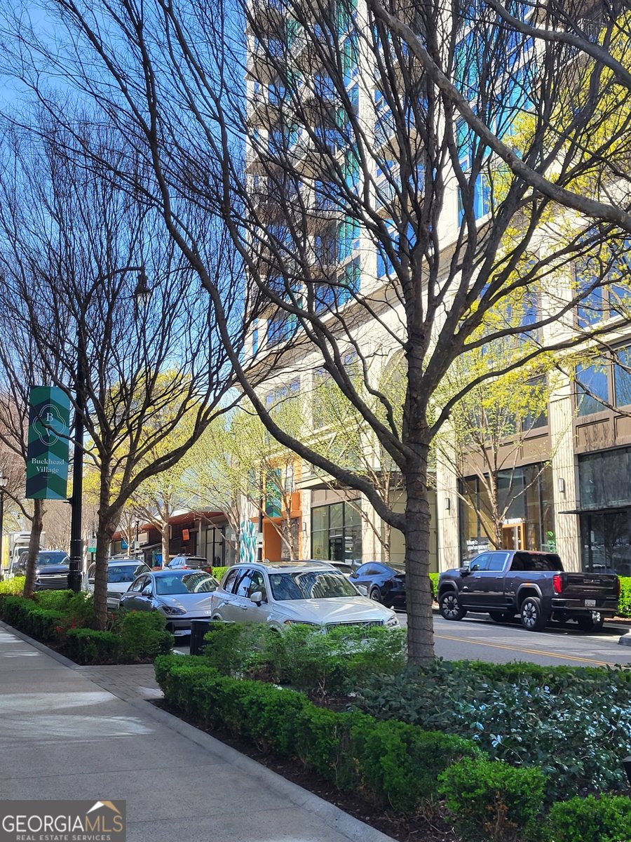 250 Pharr Road Atlanta - Photo 51