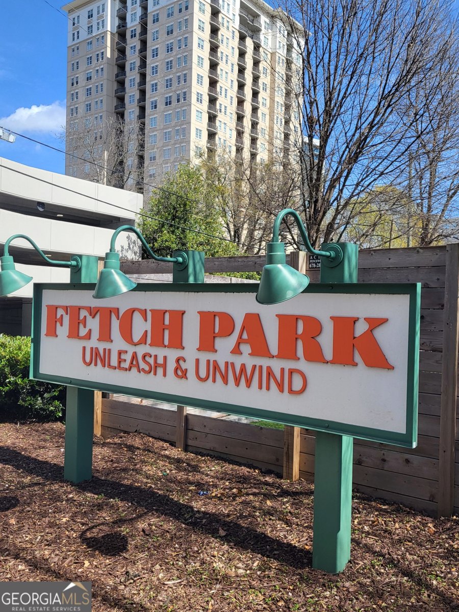 250 Pharr Road Atlanta - Photo 52